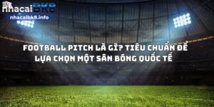 Football Pitch là gì? Tiêu chuẩn để lựa chọn sân bóng quốc tế  