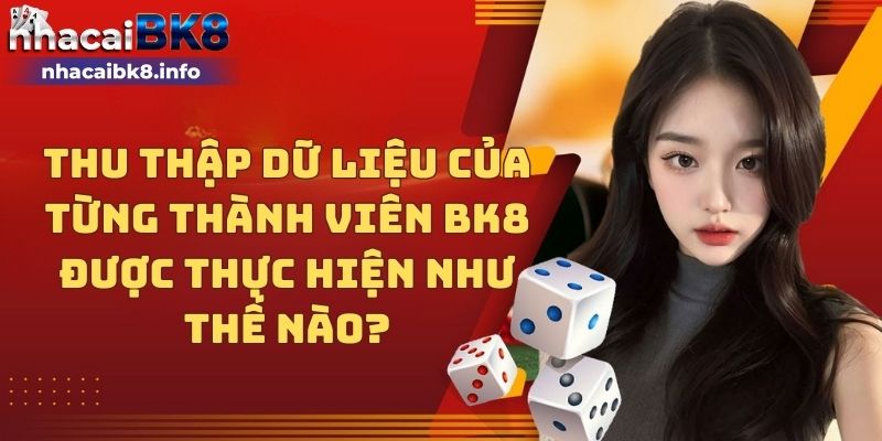 Thu thập dữ liệu của từng thành viên BK8 được thực hiện như thế nào?