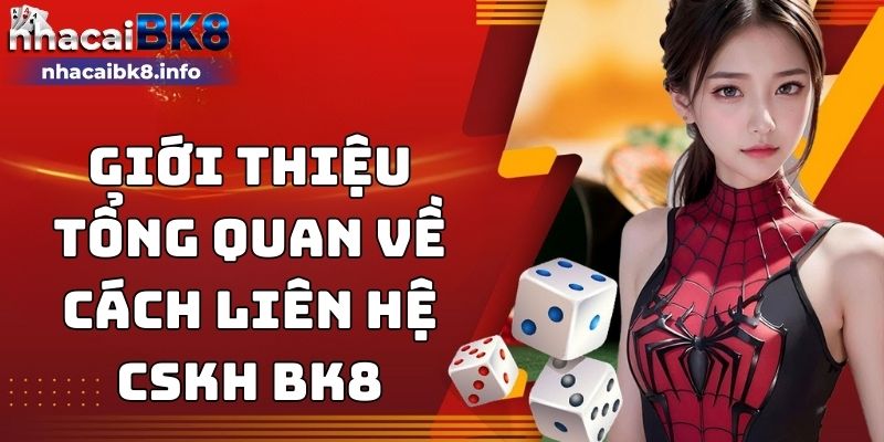 Giới thiệu tổng quan về cách liên hệ CSKH BK8