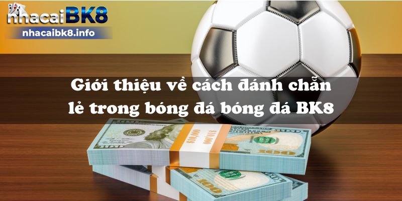 Giới thiệu về cách đánh chẵn lẻ trong bóng đá bóng đá BK8