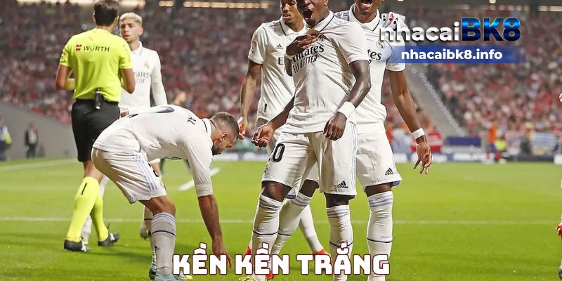 Kền kền trắng