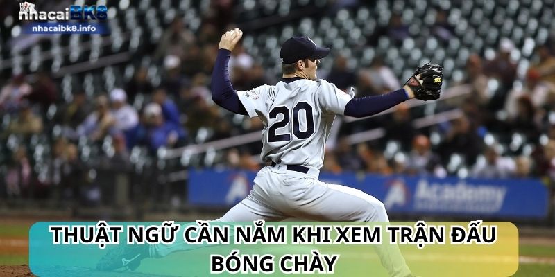 Thuật ngữ cần nắm khi xem trận đấu bóng chày