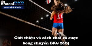 Giới thiệu và cách chơi cá cược bóng chuyền BK8 2024