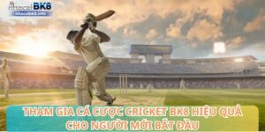 Tham gia cá cược Cricket BK8 hiệu quả cho người mới bắt đầu