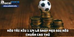 Kèo tài xỉu 1 1/4 là sao? Mẹo soi kèo chuẩn cao thủ