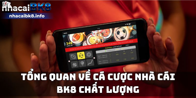 Tổng quan về cá cược nhà cái BK8 chất lượng