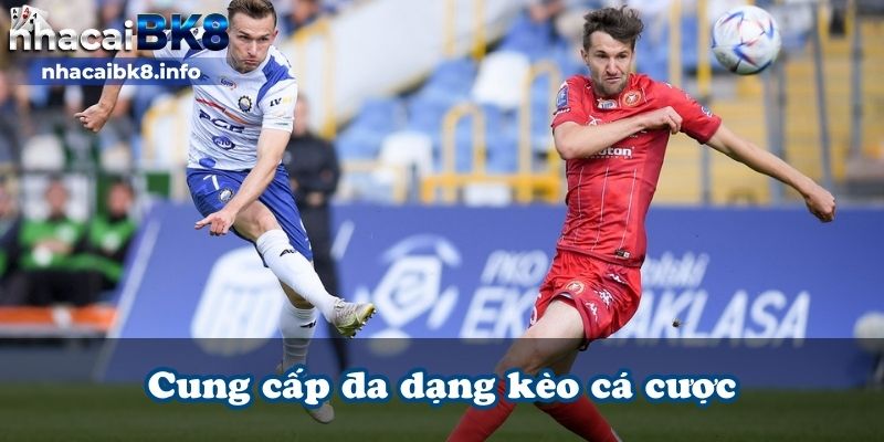 Cung cấp những kèo cược đa dạng nhất